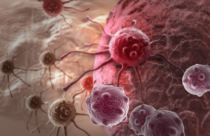 ¡Cuidado! El cáncer es dulce y te lo comes a diario