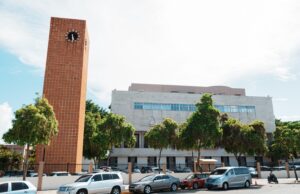 Alcaldía del DN informó que no autorizó poda de árboles en el Mirador Sur; advierte sancionará a los responsables