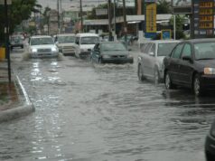 COE aumenta a 8 las provincias en alerta amarilla y mantiene 5 en verde
